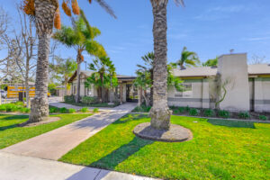 Exterior Leasing office, Large Palm, trees leading to the entrance, landscaping around the building.