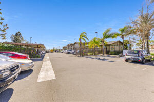 Exterior Parking lot, Leasing office parking, outside of gated resident area, large palm trees around leasing office.